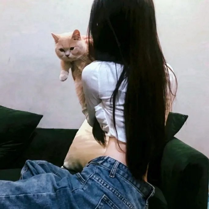 合理怀疑第二季