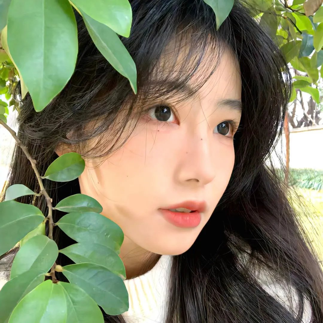 夏花